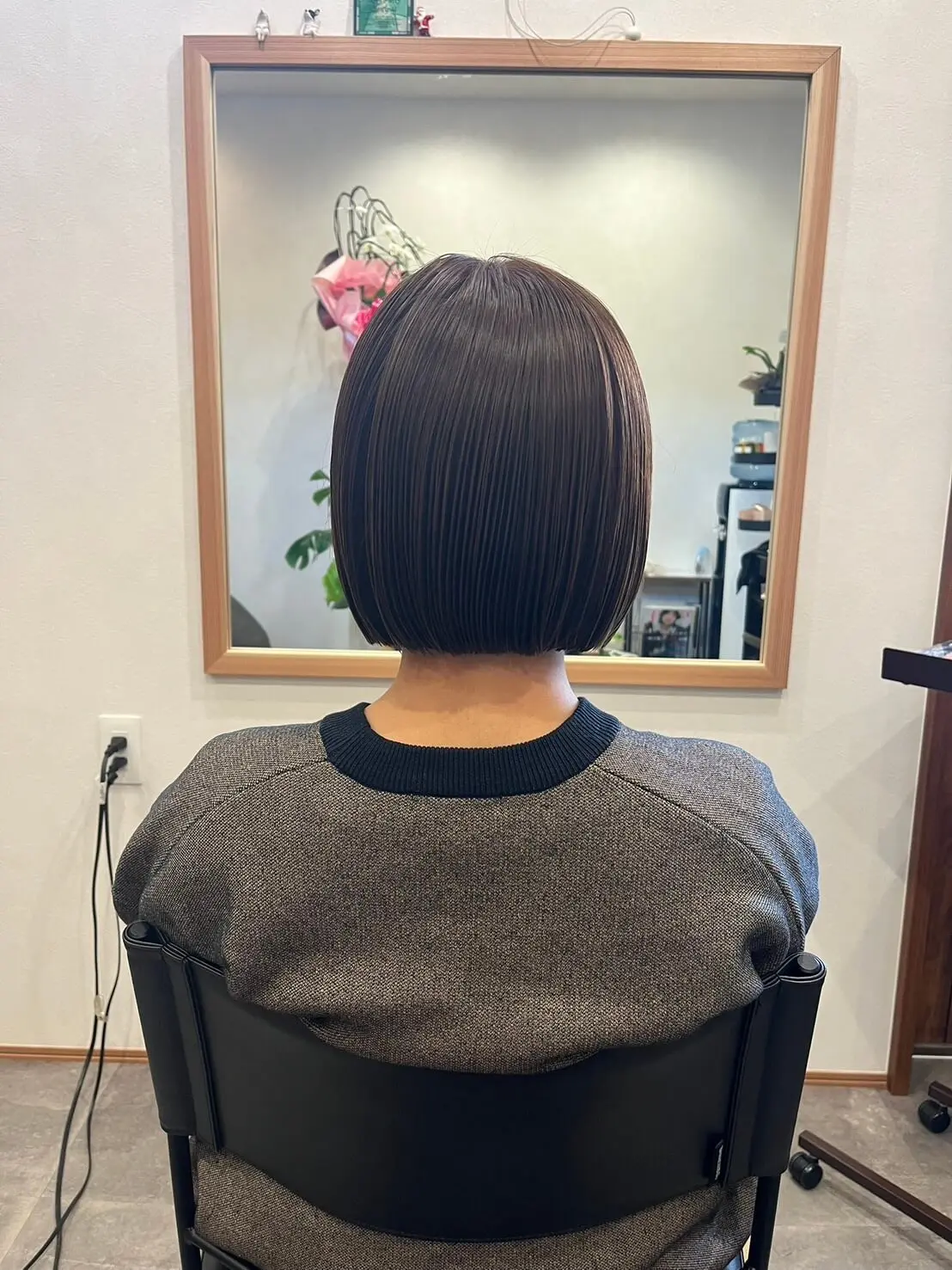 カラーの写真